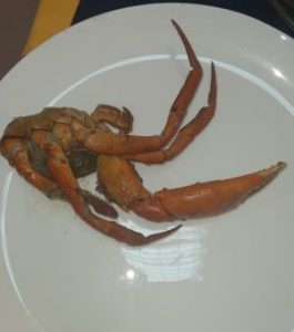 Lobstar Dish